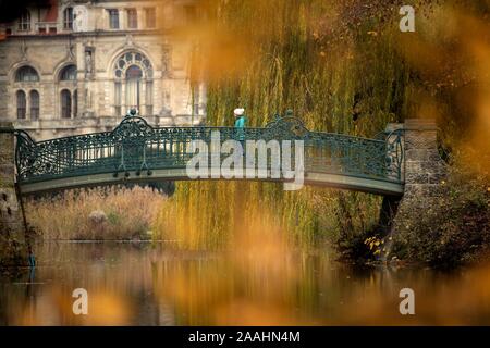 Hannover, Deutschland. 22 Nov, 2019. Eine Frau kreuzt den Maschteich über eine Brücke vor dem Rathaus. Credit: Sina Schuldt/dpa/Alamy leben Nachrichten Stockfoto