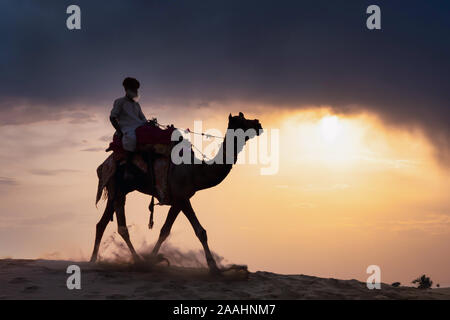 Silhouette einen Mann auf einem Kamel reiten durch den Sand Dünen, Wüste Thar, Rajasthan, Indien Stockfoto