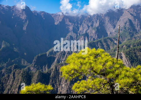 Vulkanische Landschaft und Pinienwald an Astronomie Aussichtspunkt Mirador de La Cumbrecita, La Palma, Kanarische Inseln, Spanien Stockfoto