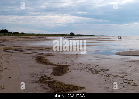 Ainaži Lettland, Blick entlang am Strand mit Algen bei Ebbe Stockfoto