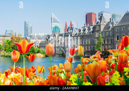 Binnenhof - Parlament der Niederlande, Holland Stockfoto