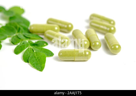 Moringa Blätter und Kapseln Stockfoto