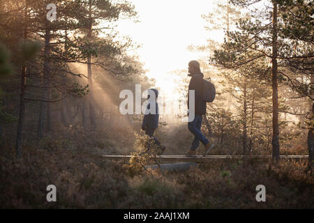 Vater und Sohn gehen auf Planken in Wald, Finnland Stockfoto