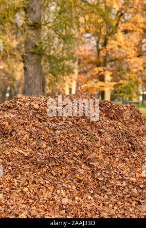 Hintergrund mit einer Nahaufnahme Schuß eines großen braunen Haufen gesammelt im Herbst. In Franken/Bayern in Deutschland im November zu sehen.h Stockfoto