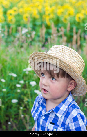 Jungen in einem Hut auf einem Feld mit Sonnenblumen Stockfoto