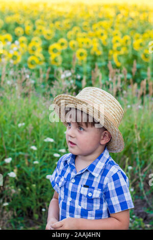 Jungen in einem Hut auf einem Feld mit Sonnenblumen Stockfoto