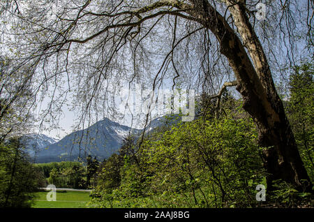 Schloss Matzen ist eine historische österreichische Schloss in Tirol in der Nähe der Niederlassung der Zillertaler im Inntal. Stockfoto