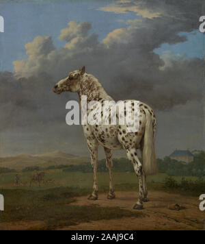 Die "piebald" Pferd; Paulus Potter (Niederländisch, 1625 - 1654); ca. 1650 - 1654; Öl auf Leinwand, 50,2 × 45,1 cm (19 3/4 x 17 3/4 in.); 88. PA.87 Stockfoto