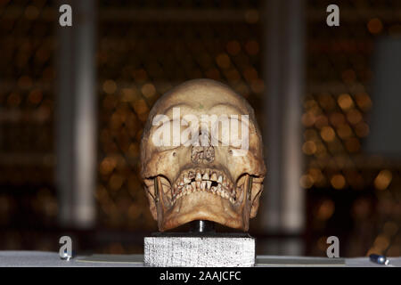 Edinburgh, Schottland. 22. November. 2019. Wani Uruwarige, Chief der antiken Sri Lankan Dschungel Wohnung Stamm den Vedda Menschen, nimmt an einer Feierstunde in der Universität von Edinburgh Playfair Bibliothek in Edinburgh. Die Universität eine Reihe von neun menschlichen Schädeln es vor über 100 Jahren erworben und stellte in ihrer anatomischen Sammlung untergebracht. Pako Mera/Alamy leben Nachrichten Stockfoto