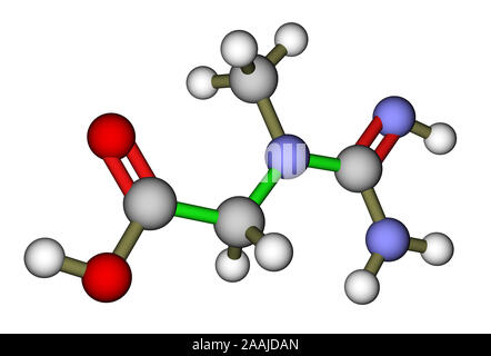 Creatin 3D molekulare Struktur Stockfoto