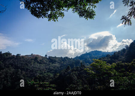 Clear Sky Blick vom Wald bei schönem Wetter Tag mit Berg und Baum als Frame Stockfoto