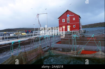 Die Lachszucht in der Nähe von peine, Norwegen Stockfoto