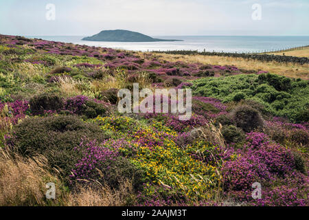 Bardsey Island von Pen-y-Cil, Halbinsel Llŷn, Gwynedd, Wales Stockfoto