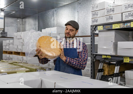 Auroraville, Wisconsin - Fred Buhrow zeigt eine Käse Rad in den Kühler, wo Käse Alter der Union Star Käse. Union Star ist einer der Wenigen Stockfoto