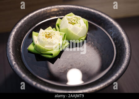 Twin White Lotus auf grüne Blätter schwimmen auf dem Wasser innen schwarz Schüssel Stockfoto