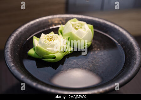 Twin White Lotus auf grüne Blätter schwimmen auf dem Wasser innen schwarz Schüssel Stockfoto