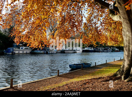 Herbstfarben entlang des Flusses Yare, Teil des Norfolk Broads National Park, Thorpe St Andrew, Norwich, Norfolk, England, Großbritannien Stockfoto