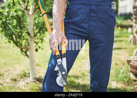 Eine professionelle Gärtner an Arbeiten von Obstbäumen. Stockfoto