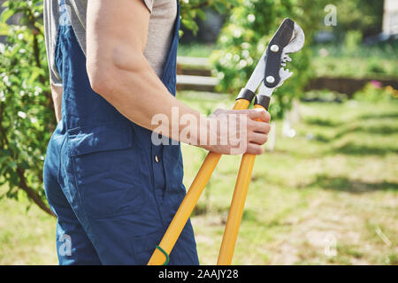 Eine professionelle Gärtner an Arbeiten von Obstbäumen. Stockfoto