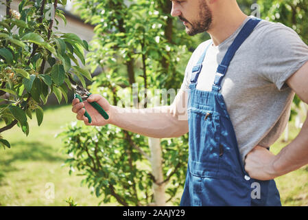 Eine professionelle Gärtner an Arbeiten von Obstbäumen. Stockfoto