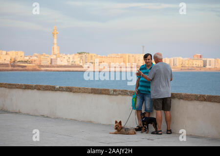 Lokale hundewanderern Geselligkeit auf dem Paseo del Vendaval mit Sonne, die auf die Neue Stadt, Cadiz, Andalusien, Spanien, Europa Stockfoto