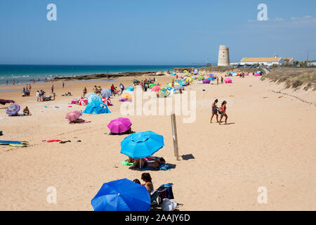 Blick entlang weisser Sandstrand an einem Sommernachmittag, El Palmar de Vejer, Costa de la Luz, Provinz Cadiz, Andalusien, Spanien, Europa Stockfoto