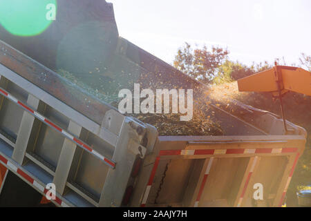 Wood chipper blasen Äste ein tragbares Gerät zur Reduzierung von Holz in die Rückseite eines Staplers benutzt. Stockfoto