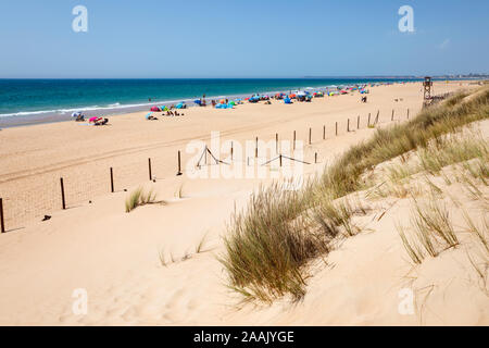 Blick entlang weisser Sandstrand an einem Sommernachmittag, El Palmar de Vejer, Costa de la Luz, Provinz Cadiz, Andalusien, Spanien, Europa Stockfoto