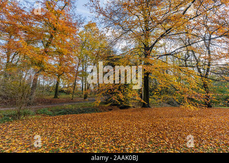 Krefeld-Bockum - Blick auf Park in der Nähe Haus Neuenhofen / Deutschland Stockfoto