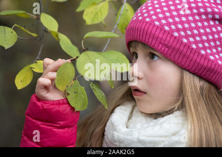 Hübsches kind Mädchen mit warmen Winterkleidung holding Baum mit grünen Blättern bei kaltem Wetter im Freien. Stockfoto