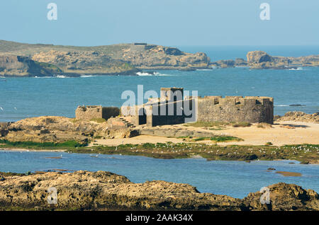 Die befestigte Mogador Inseln, die alten Iles Purpuraires vor Essaouira, wo Römer und Phönizier Die murex und purpura Muscheln verarbeitet Stockfoto