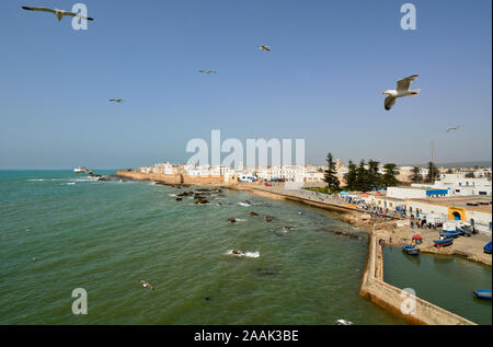 Die ummauerte Stadt Essaouira, ein UNESCO-Weltkulturerbe, mit Blick auf den weiten Atlantik. Marokko Stockfoto