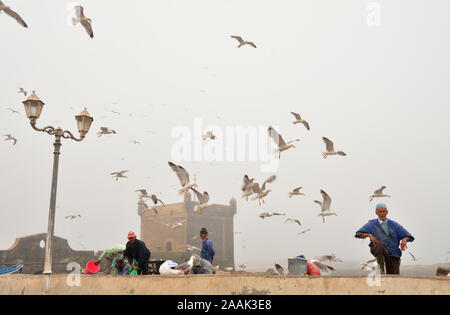 Fischer und Möwen vor dem 18. jahrhundert Südlich Bastion, Skala du Port. Ein UNESCO-Weltkulturerbe, Essaouira. Marokko Stockfoto