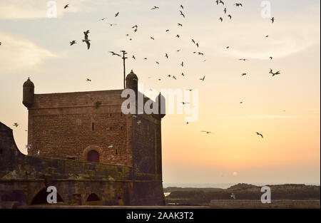 Im 18. Jahrhundert nach Süden Bastion, Skala du Port, in der Dämmerung. Ein UNESCO-Weltkulturerbe, Essaouira. Marokko Stockfoto