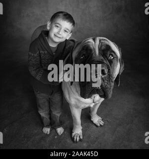 Studio Portrait von Jungen und Mastiff Stockfoto
