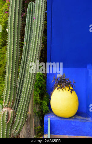 Die blauen und gelben Kontrast im Majorelle Garten gefunden. Marrakesch, Marokko Stockfoto