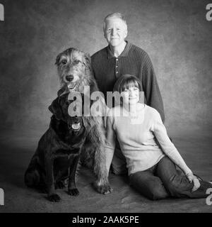 Studio Portrait von Mann und Frau mit Wolf Hound Dog und Labrador Dogge gemischt Hund Stockfoto