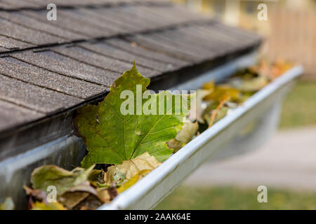 Nahaufnahme von Haus Regenrinne mit bunten Blätter fallen von den Bäumen im Herbst verstopft. Konzept Home Wartung und Reparatur Stockfoto