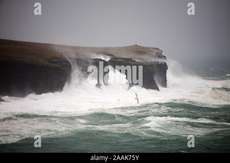 Absturz Fury. Zwei Tage Sturm Kraft südliche Winde das Meer gepeitscht Zerschlagen der Orkney Mainland Küste, mit Wellen, die über die 80-Fuß-cl Stockfoto