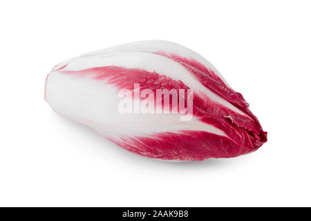 Roter Chicorée und Radicchio auf weißem Hintergrund. Stockfoto