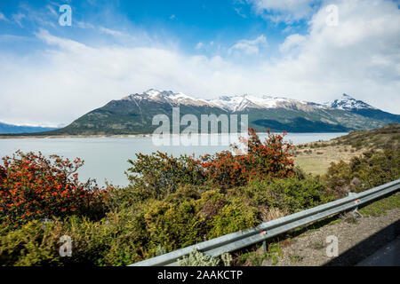 Los Glacieres Nationalpark, Argentinien. Stockfoto