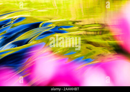 Reflexionen von warmen Abendlicht auf Wasser fließt über das Stauwehr am Auslauf von Grasmere, Lake District, England mit fingerhut im Vordergrund. Stockfoto