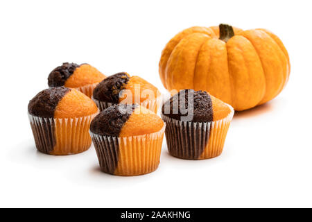 Frische Kürbis und Schokolade minimuffins mit Kürbis isoliert auf weißem Stockfoto