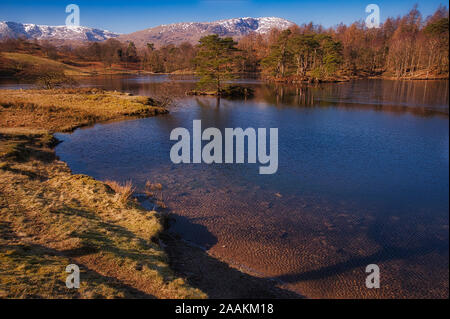 Frühling Blick auf Tarn Hows und die schneebedeckten Berge, Lake District in England Stockfoto