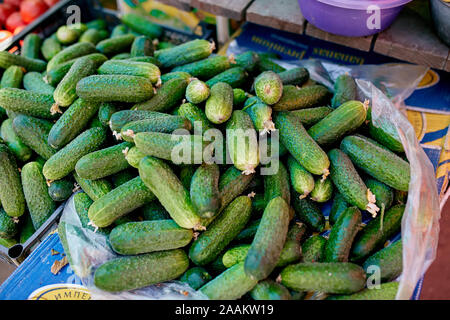 Gurke. Frisches Bio-Gemüse im Verkauf bei der lokalen Bauern Sommer Markt im Freien. Gesunde Bio-lebensmittel Konzept. Stockfoto