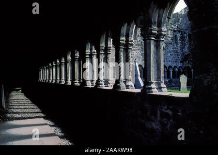 Licht und Schatten in der Flur der Kreuzgang des Klosters des Heiligen Kreuzes, die gemeinhin als Sligo Abtei bekannt. Stockfoto
