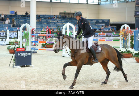 VERONA, Italien - 09.November: Marc Houtzager für Niederlande bei der Franco Tucci Fall konkurrieren während der longines FEI Jumping Wm 2019 in Verona Stockfoto