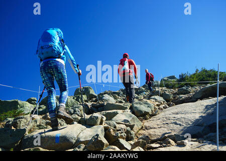 Wanderer, Franken Ridge Trail in Richtung Mt Lafayette, New Hampshire, USA. Stockfoto