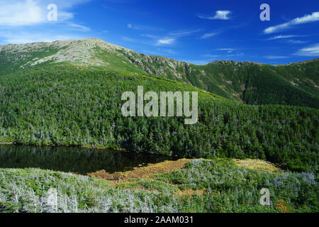 Mt Lafayette und Teil von Franken Ridge von Greenleaf Hütte, New Hampshire, USA gesehen. Eagle Lake befindet sich auf der unteren linken Seite. Stockfoto