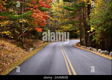 Straße, die zum Gipfel des Cadillac Mountain, Acadia National Park, Maine, USA. Stockfoto